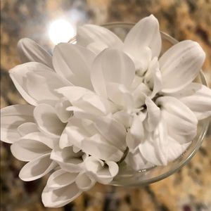 Meet your Posher, Tess